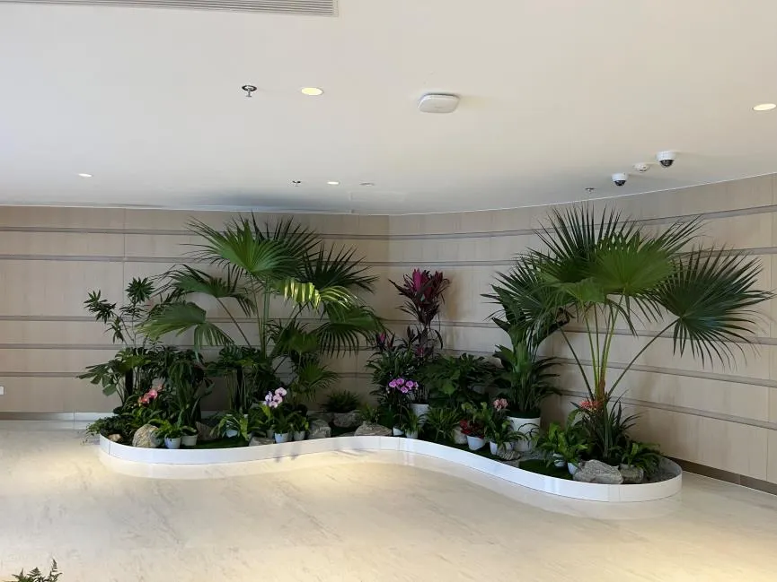 关于宁波鄞州植物租摆价格，你必须知道